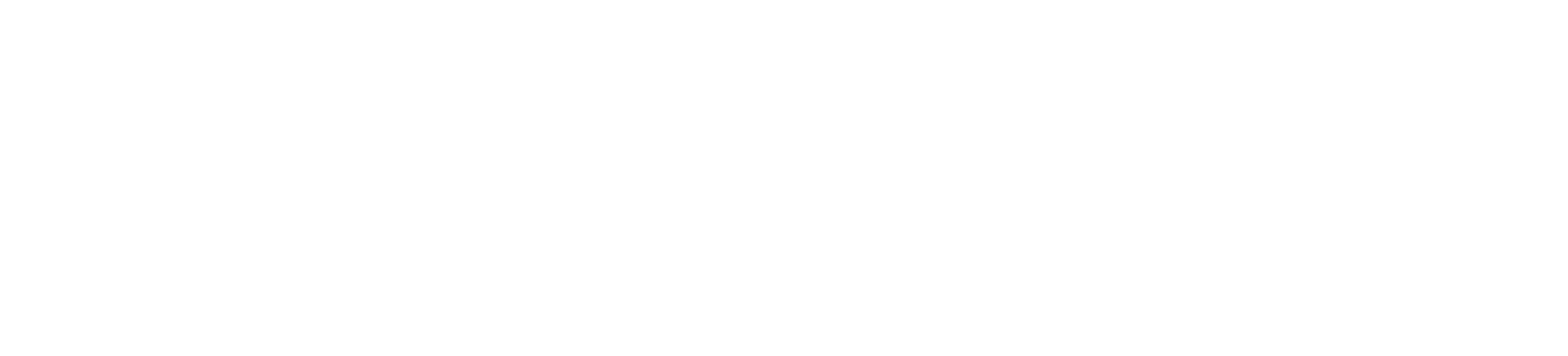 MDMC